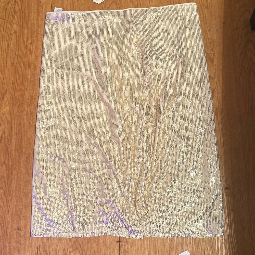 Elegant Sequin Skirt in Silver